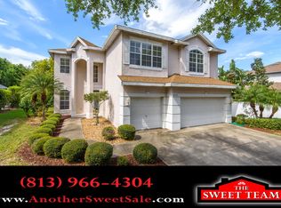 6115 Native Woods Dr, Tampa, FL 33625