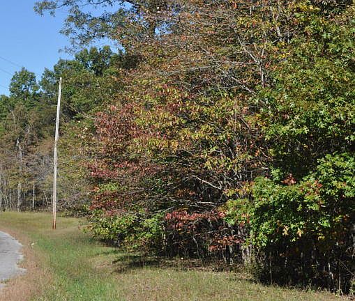 5th image of Cumberland Lakes Dr