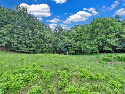0 Healing Springs Rd, Blue Ridge, VA, 24064