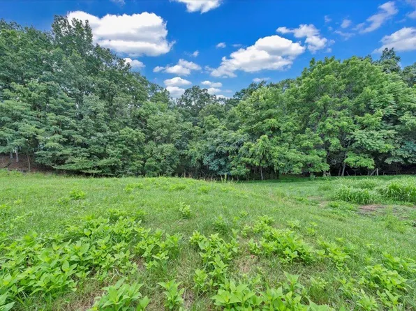 0 Healing Springs Rd, Blue Ridge, VA 24064