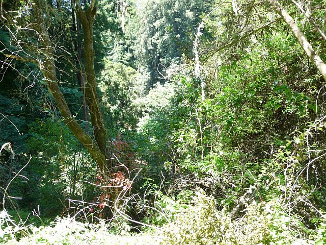 2nd image of 250 Ross Rd