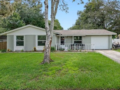 2233 Selkirk St, Valrico, FL, 33594