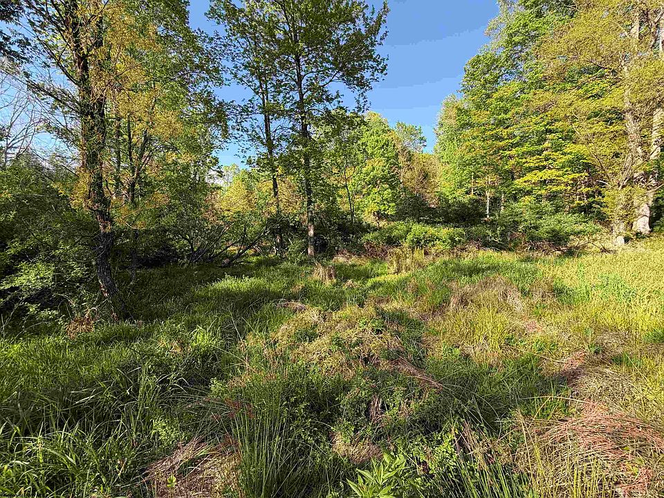 49th image of 2494 Seng Run Rd