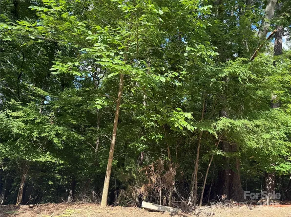 10045 Tepa Pl, Tega Cay, SC 29708