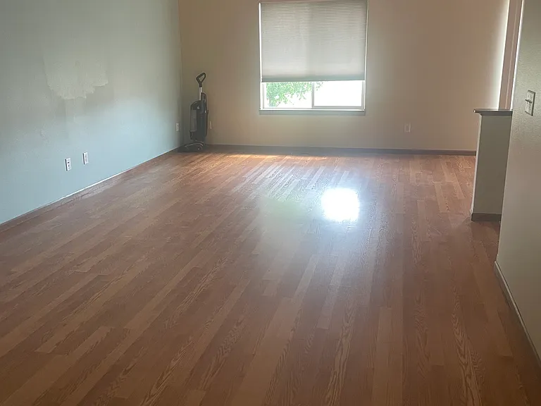 3808 Lemesa Way — Photo 6