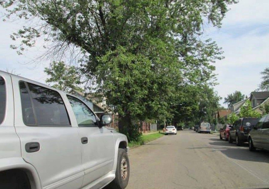 2nd image of 2739 Norman St