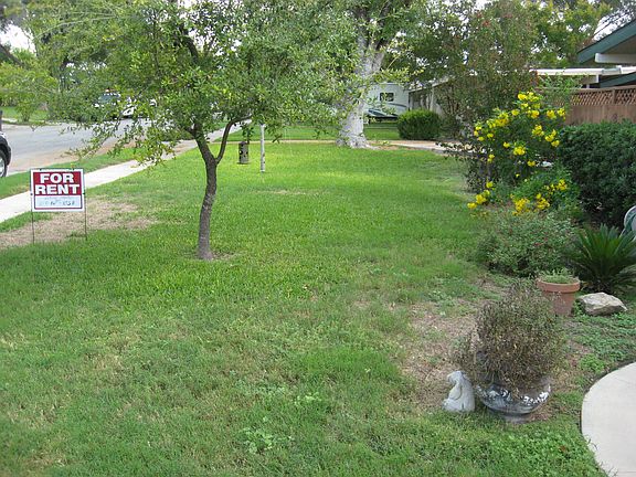 Front yard