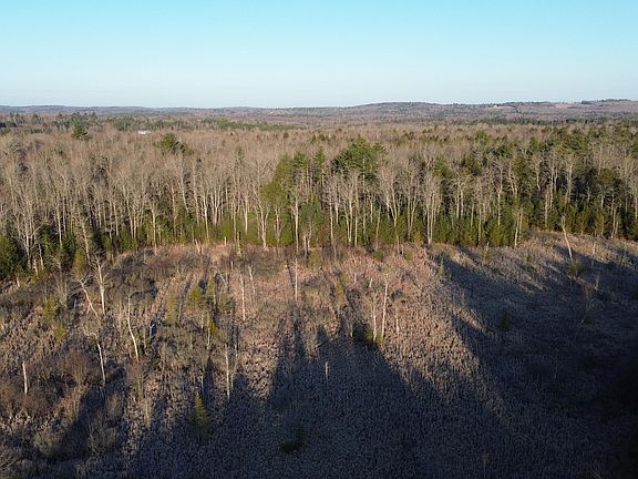 2nd image of M7L31 Nelson Ridge Road N
