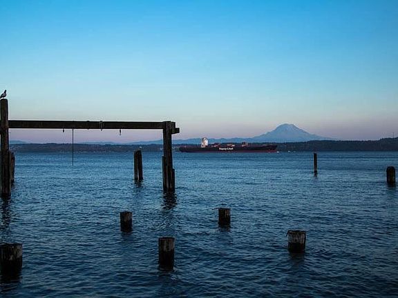 Mt. Rainier View