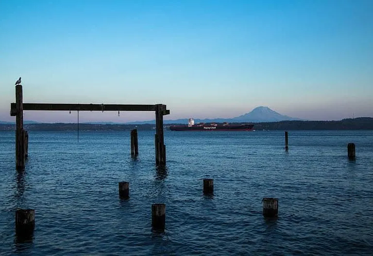 Mt. Rainier View