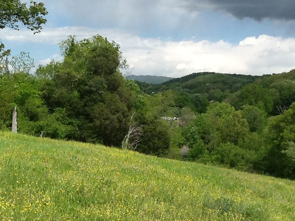 2nd image of 629 S Austin Springs Rd