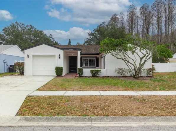 14003 Basin St, Tampa, FL 33625