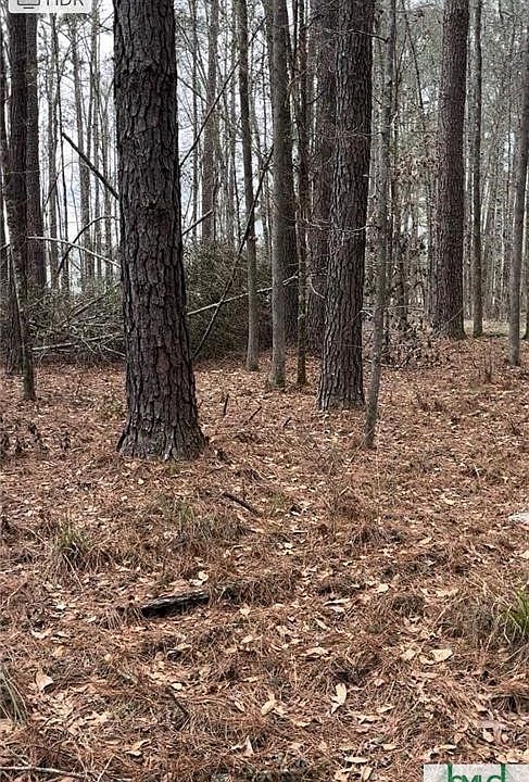 2nd image of 250 Burkhalter Road