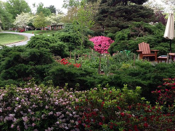 Front garden (spring)