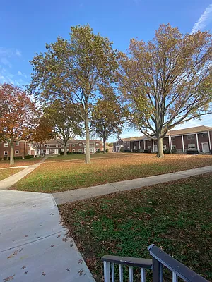 Rented by Queens Apartments Realty LLC | media 1