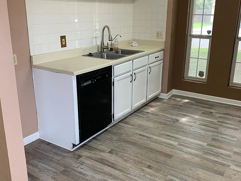 Ketchen sink & Dishwasher