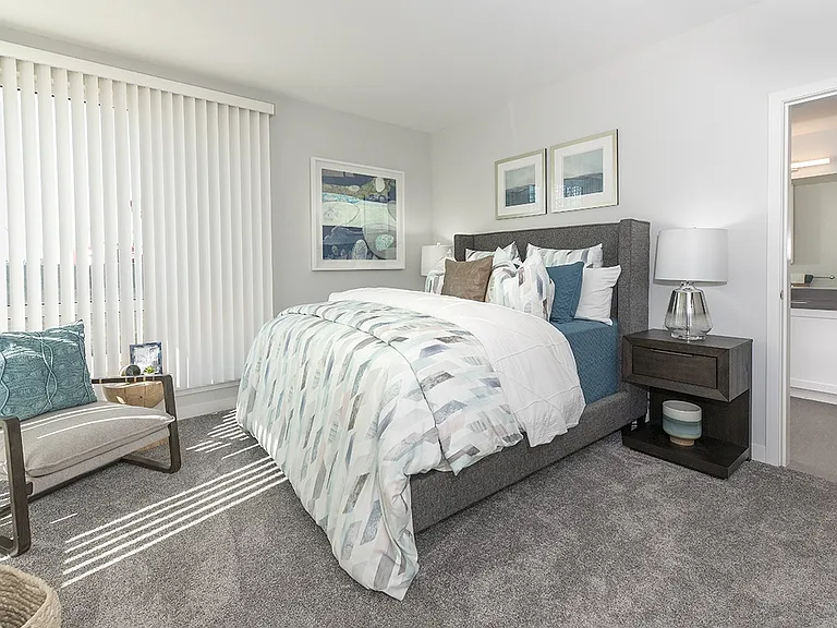 Orion Apartments — Photo 11