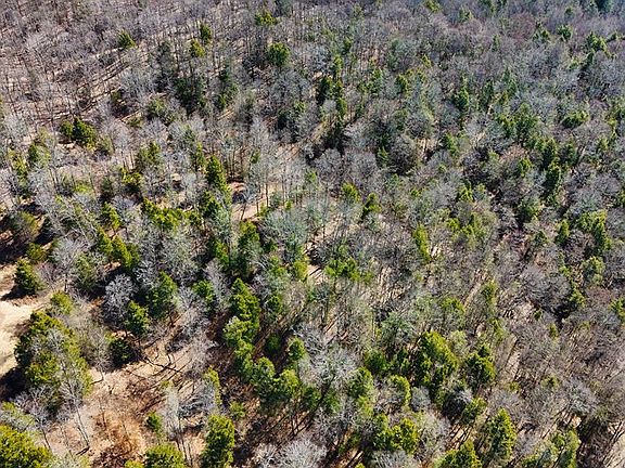 4th image of 3088 Pluto Rd