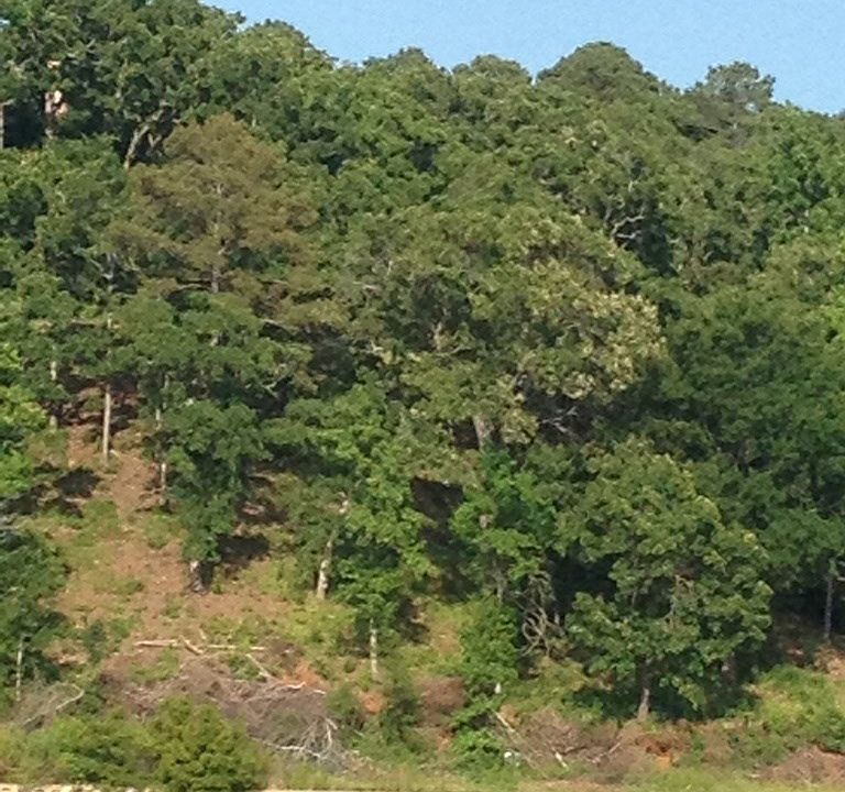 1st image of 177 Lake Bluff Dr