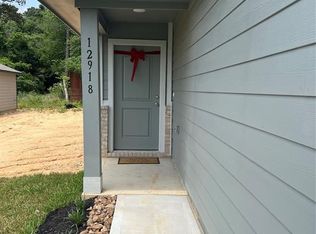 12918 Sorrento Bay Dr, Willis, TX 77318