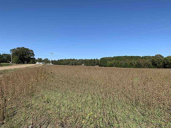 3rd image of 7072D Highway 22 S Lot 4