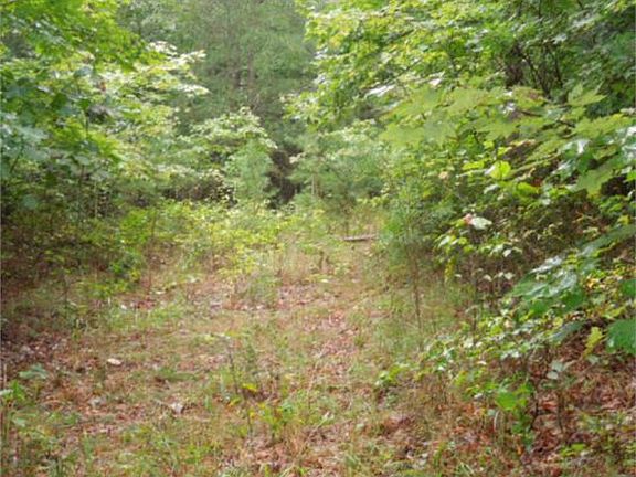 4th image of Ridge Wood Ln