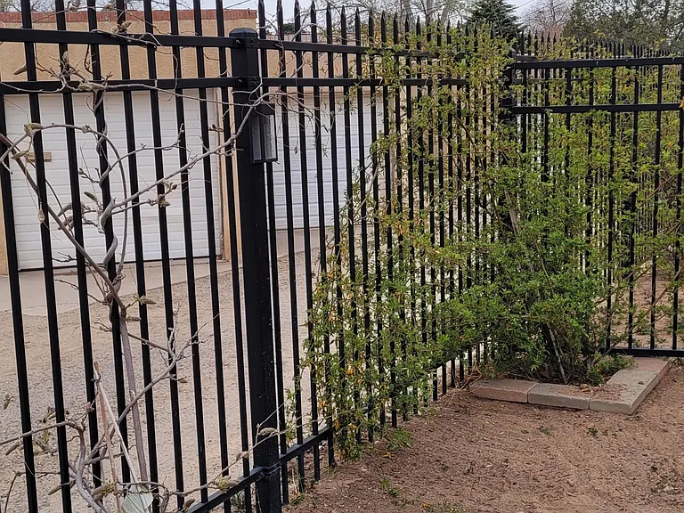 223 - We've planted vines to grow along the fence to provide additional privacy. This image is a year old so the coverage is more than shows.