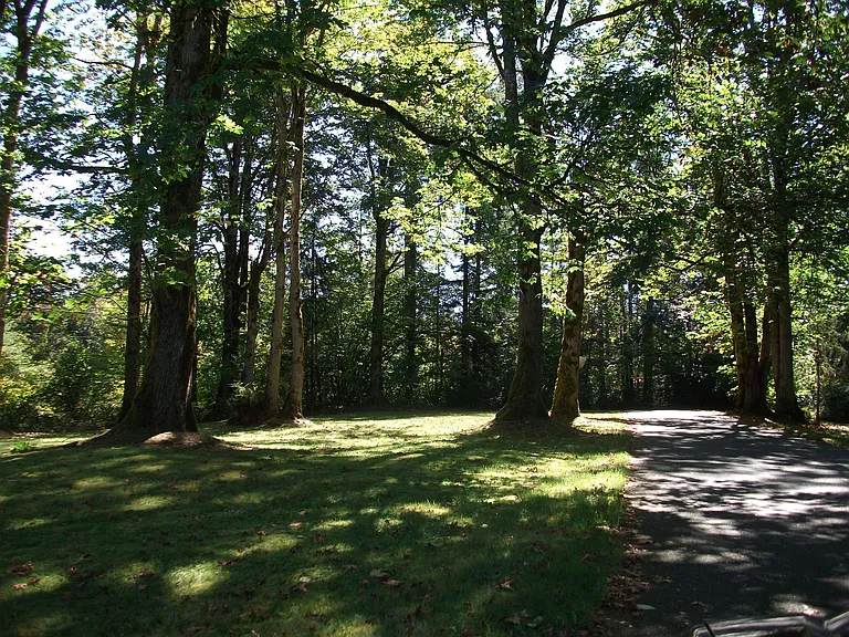 Shadow Woods — Photo 8