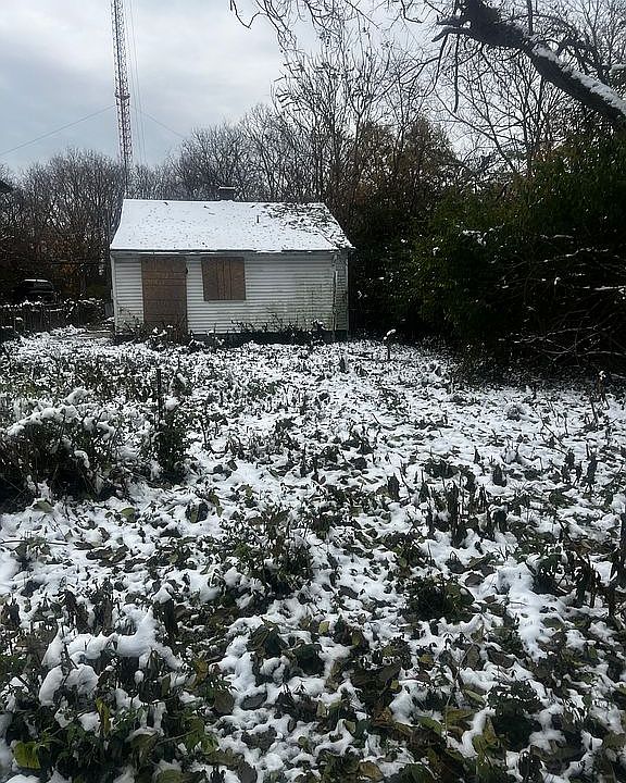 1st image of 1017 Erbe Ave