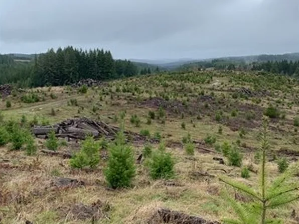 47 Highway, Buxton, OR 97109