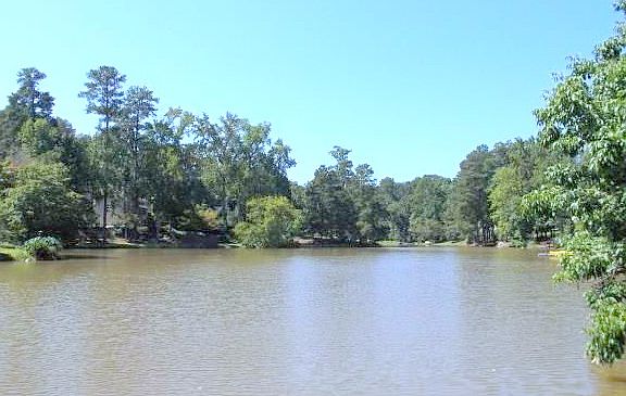 HOA for Pond Association