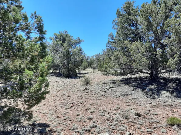 56245 N Avenida Derecha, Seligman, AZ 86337