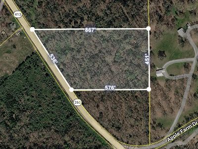 Tbd State Highway 413, Crane, MO, 65633