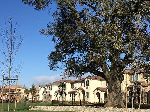 4th image of 18925 Parsley Dr