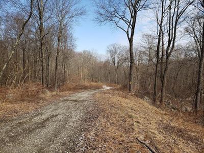 S White Rock Road, Holmes, NY, 12531