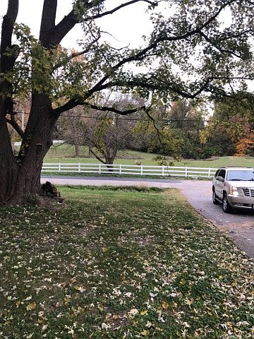 2nd image of 4170 Irving Dr
