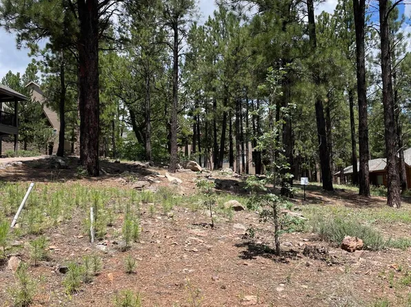 4740 W BRAIDED REIN -- #24, Flagstaff, AZ 86005