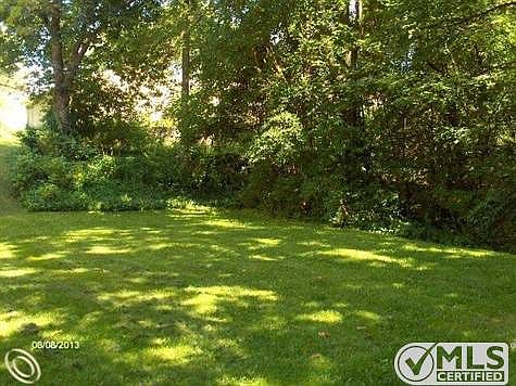 Back Yard.jpg