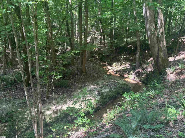 Old Calhoun Falls Rd, Abbeville, SC 29620