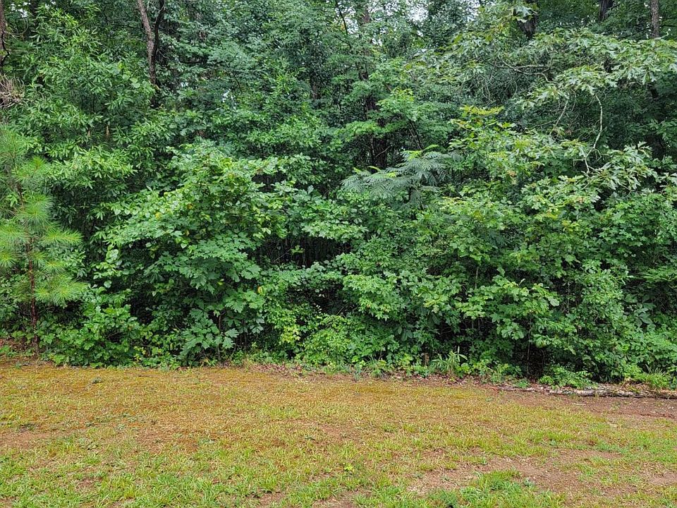 2nd image of 228 Deerwood Cir
