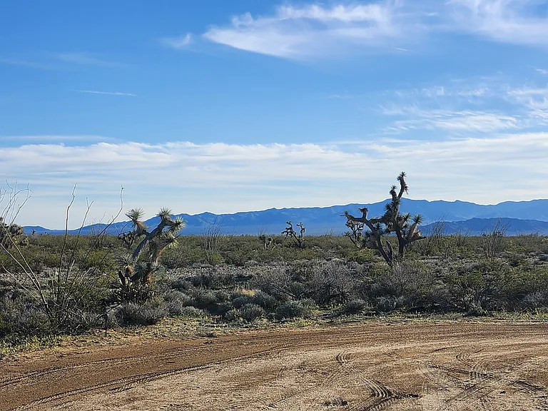 S Wild Bill Rd — Photo 27