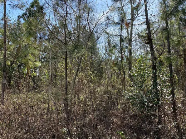 0 117th Ln #89/104, Live Oak, FL 32060