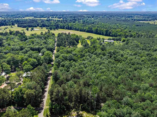 County Road 3361 Tract C, De Berry, TX 75639