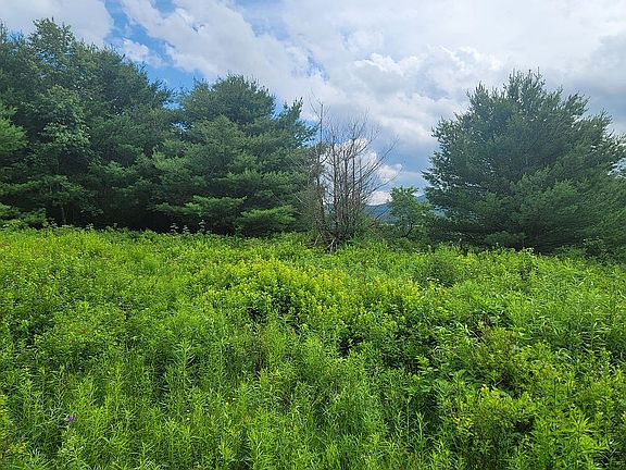 Looking back in clearing