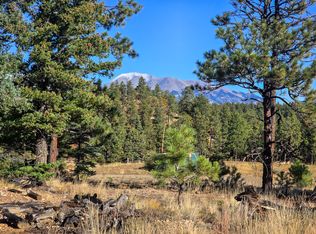 68 N Fork Rnch, Weston, CO 81091