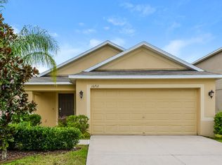 16712 Scenic Hill Way, Wimauma, FL 33598