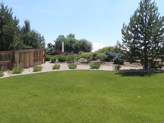 Back yard
