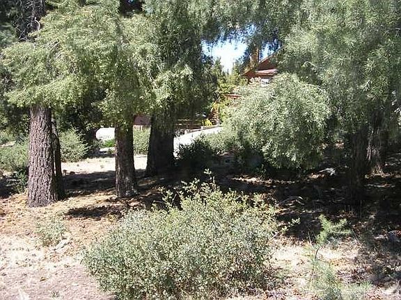 4th image of 1927 Linden Dr