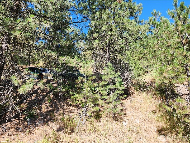 2nd image of 0 Lot 1 Klondike Road
