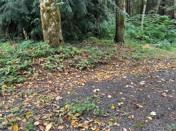 5981 NE Spruce DR, Hansville, WA 98340